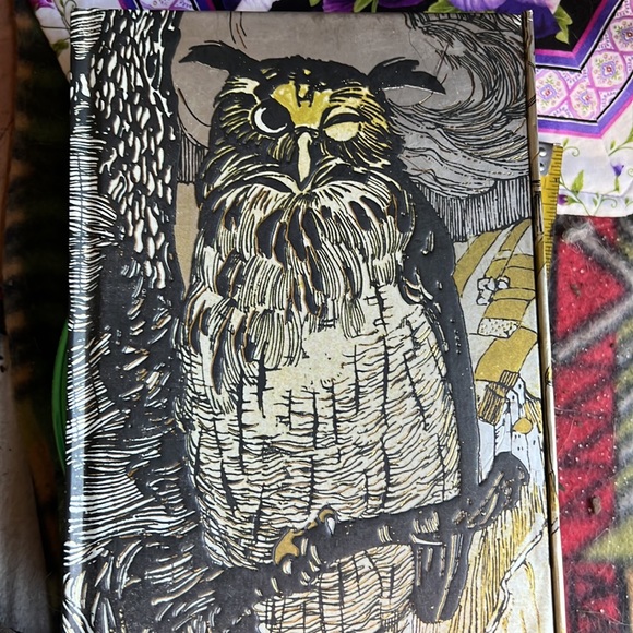 Grimm winking owl journal new notebook lined paper hard cover - Picture 2 of 4